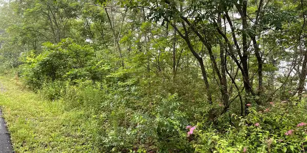 Lot 7 Trillium Heights