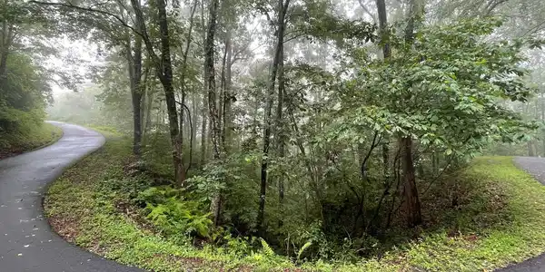 Image 3: Additional View
