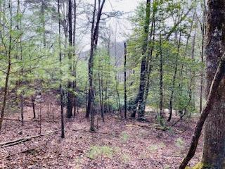 12.8 ac Fisher Field Road