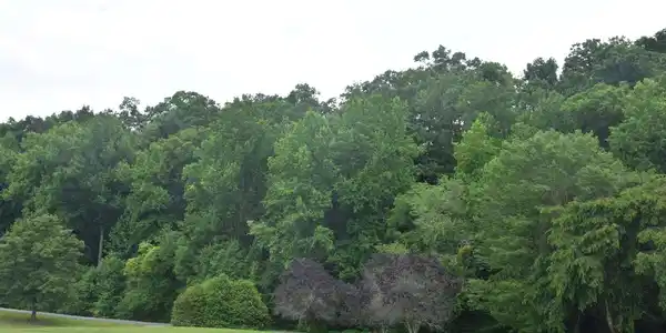 Image 2: Additional View