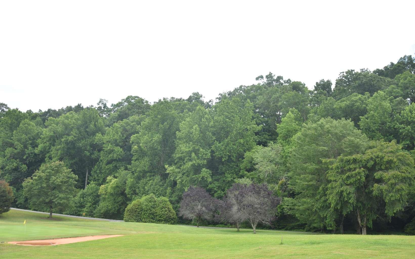 Image 3: Additional View