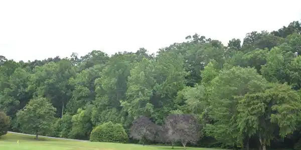 Image 3: Additional View