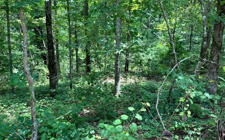 Rebekah Ridge Road