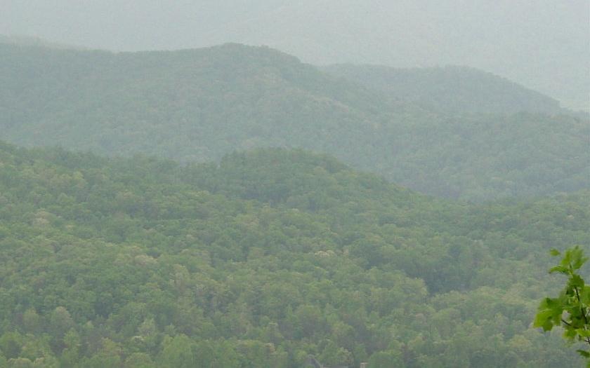Image 4: Additional View