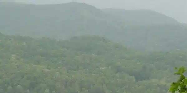 Image 4: Additional View