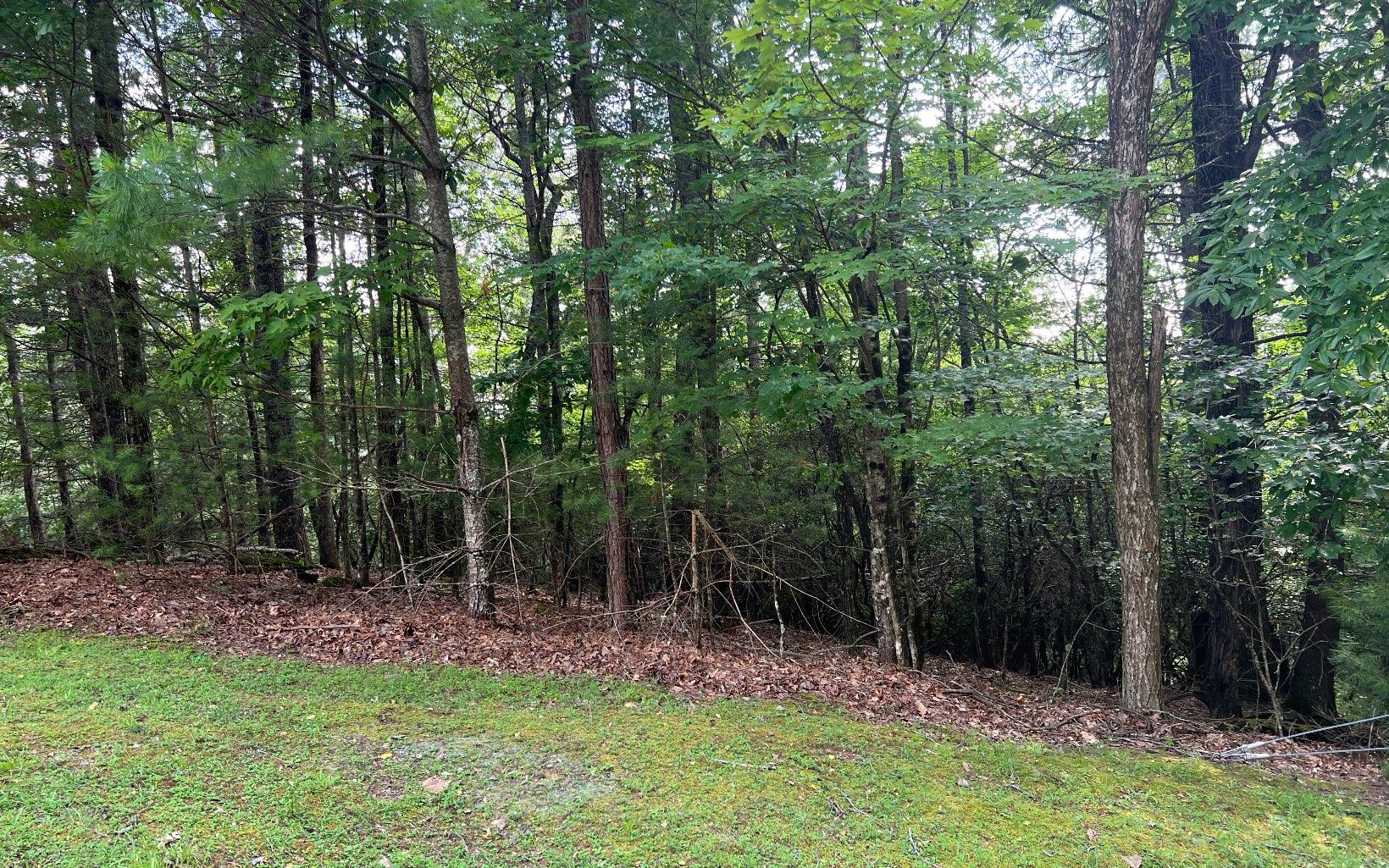 Image 1: Main View