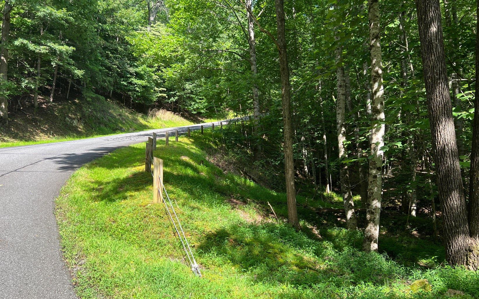 Image 4: Additional View