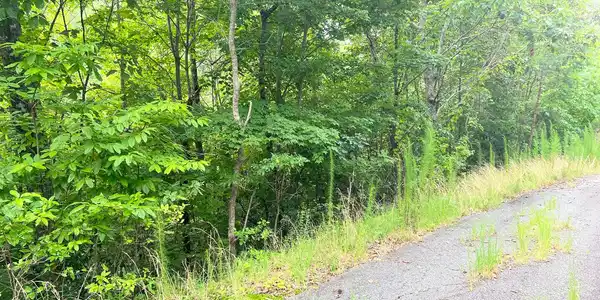 Image 4: Additional View