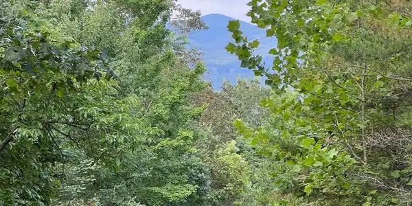 Lot 11 The Preserve At Beach Mountain