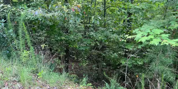 Image 4: Additional View