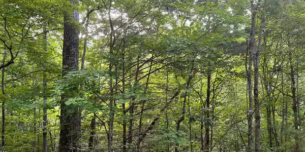 Lot 13 The Preserve At Beach Mountain