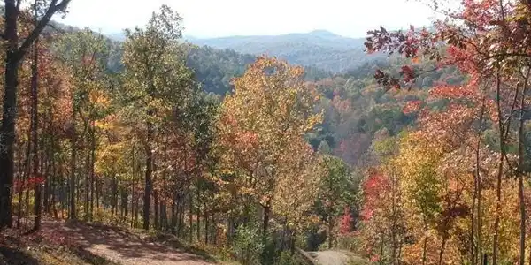 Cottage Ridge