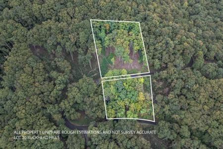 Lot 20 Buckhead Hills