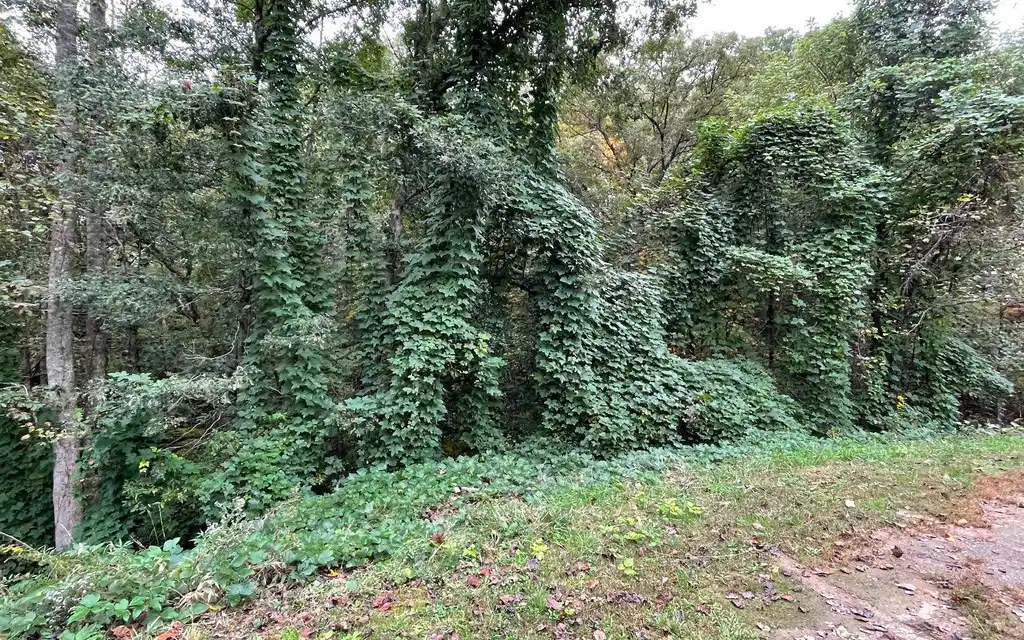 Image 1: Main View