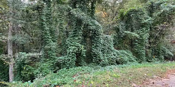 Lot 9 Rustic Ridge