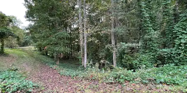 Image 2: Additional View