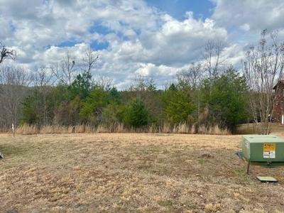 LT100 Pin Oak Ridge