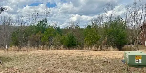 LT100 Pin Oak Ridge