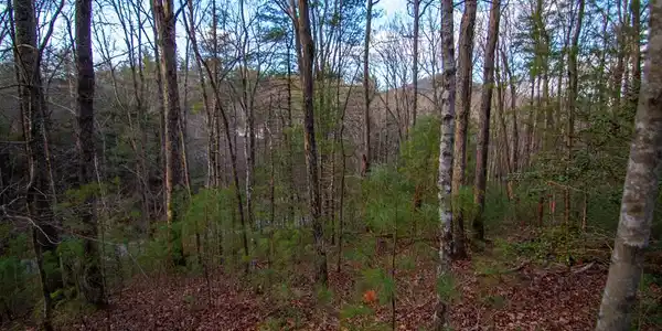 1 Rock Creek
