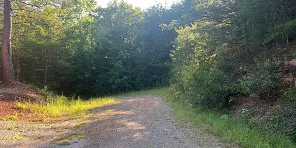 158 Half Moon Loop