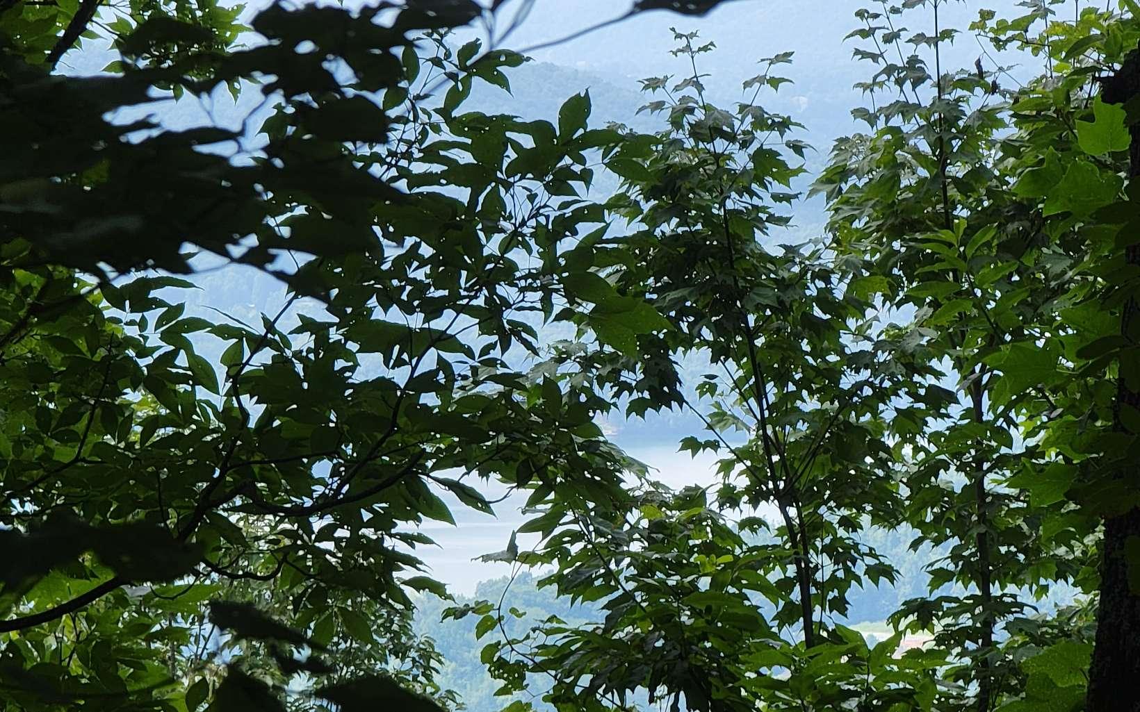 Image 2: Additional View