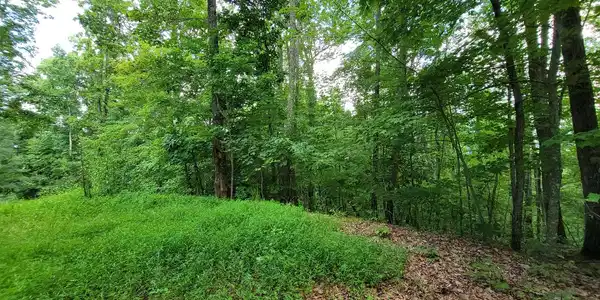 Image 3: Additional View