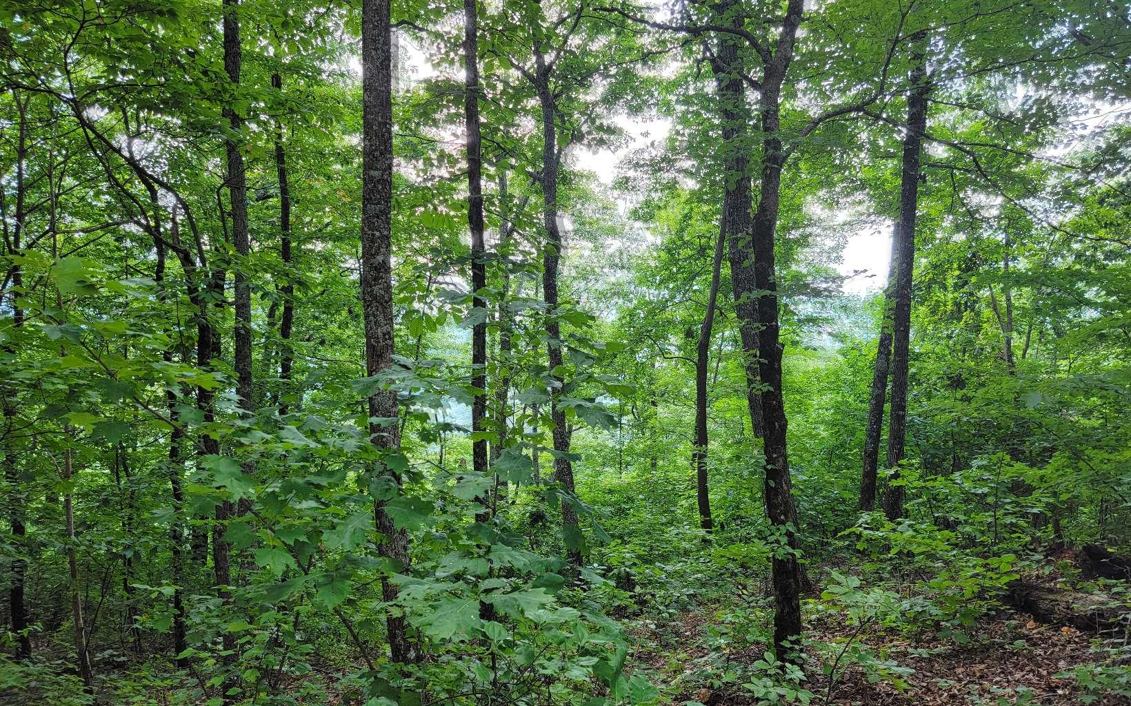 Image 4: Additional View