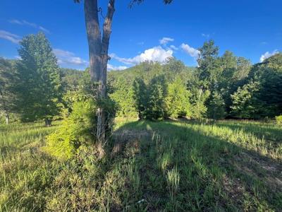 Lot 120 Riverside On Lake Nottely