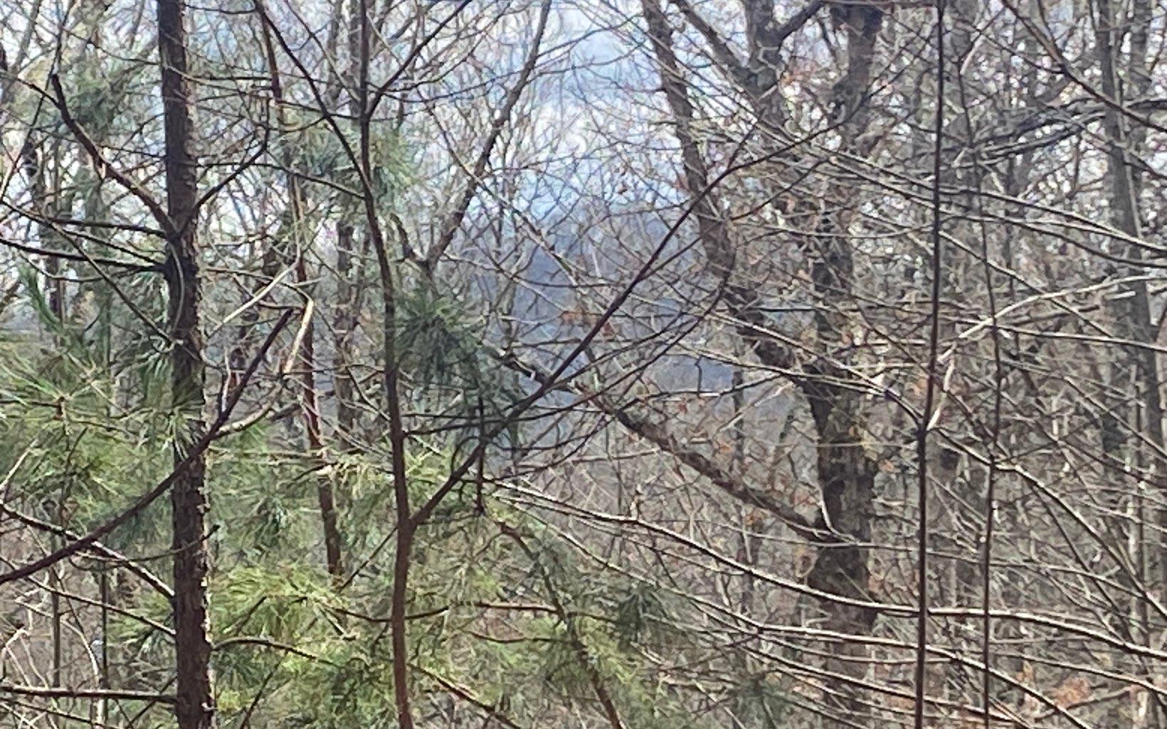 Image 2: Additional View