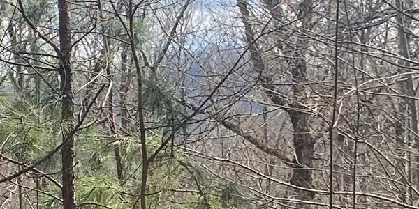 Image 2: Additional View