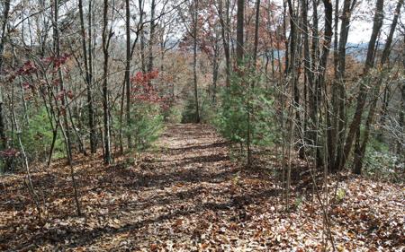 TBD Robinson Lane