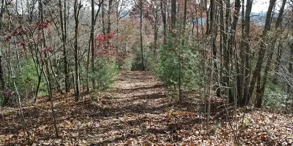 TBD Robinson Lane