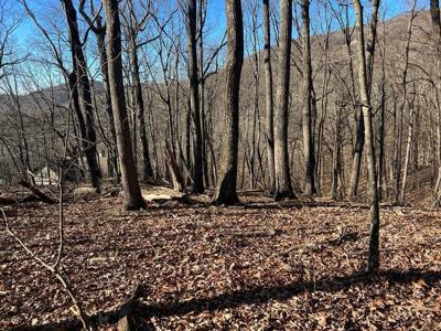245 Sassafras Mountain Trail