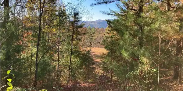 4.62 Acr Horton Road