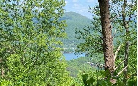 Lot 8 Hidden Summit Road