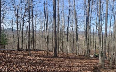 LOT7B Timber Bend