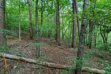 Lot 6 Heatherwood Way
