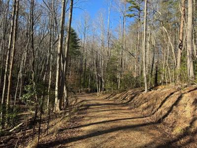 Tract 2 Fain Branch Road