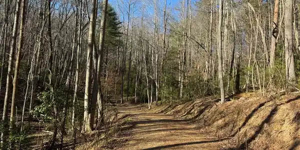 Tract 2 Fain Branch Road