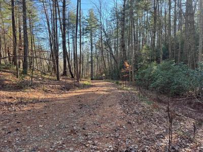Tract 3 Fain Branch Road