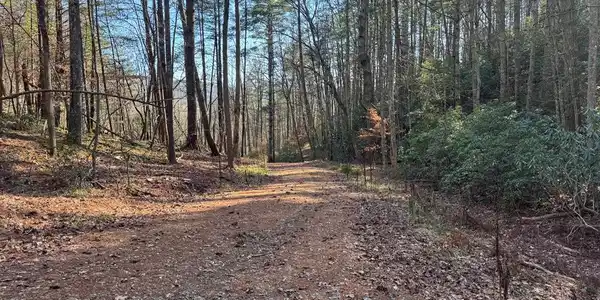 Tract 3 Fain Branch Road