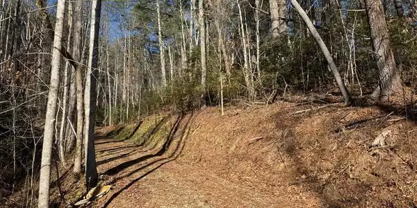 Tract 4 Fain Branch Road