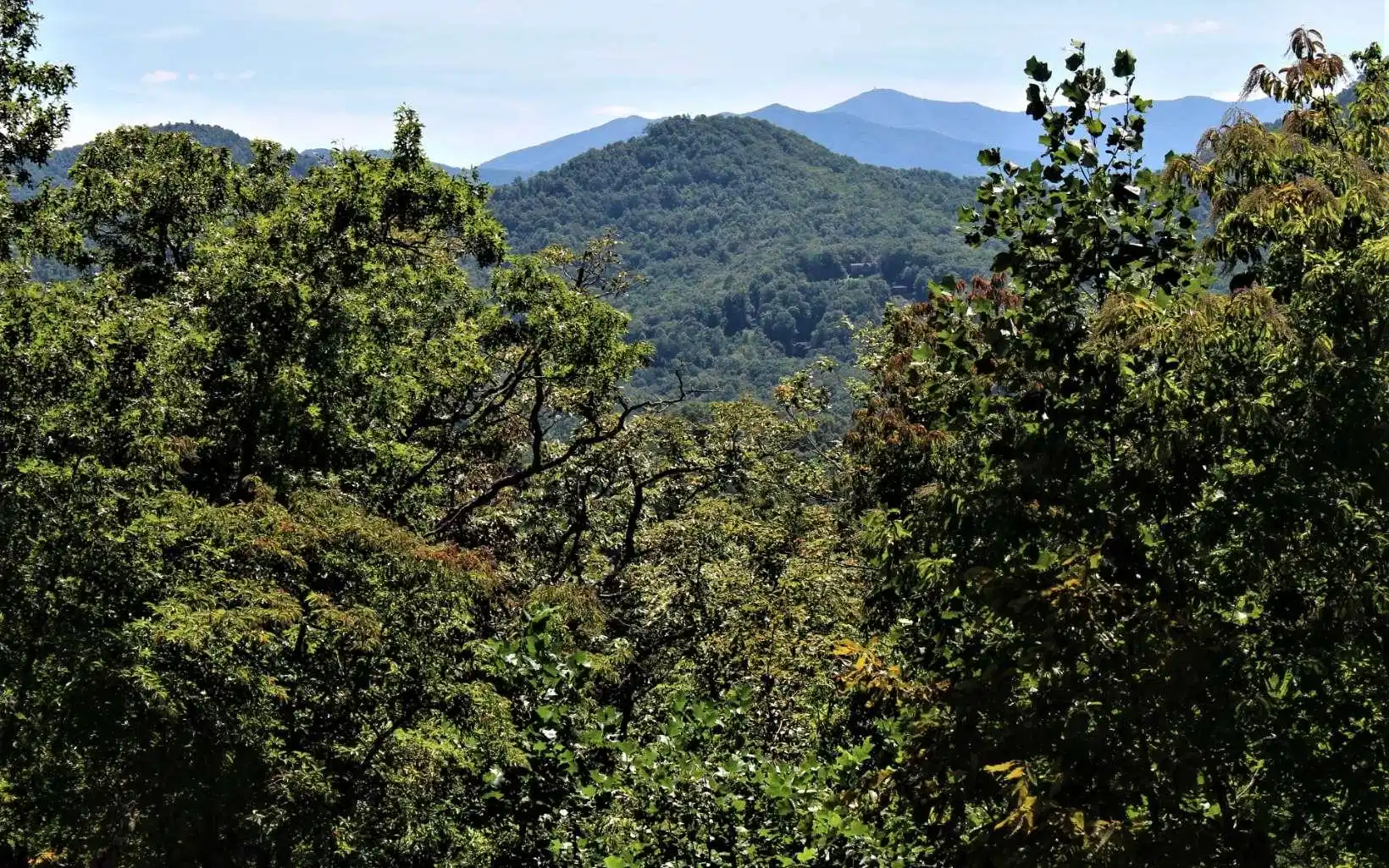 Image 1: Main View