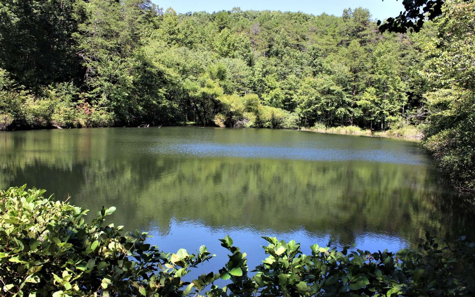 Image 2: Additional View