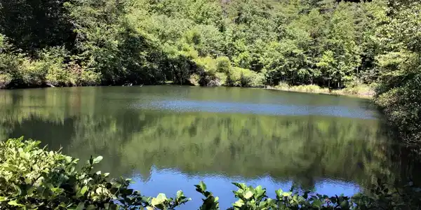 Image 2: Additional View