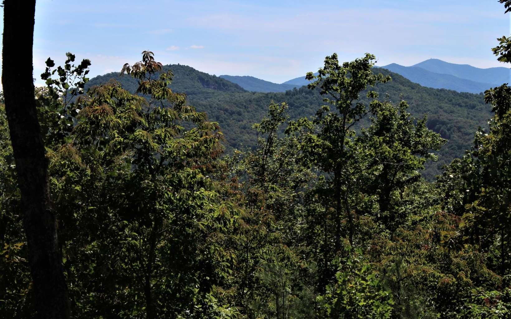 Image 3: Additional View