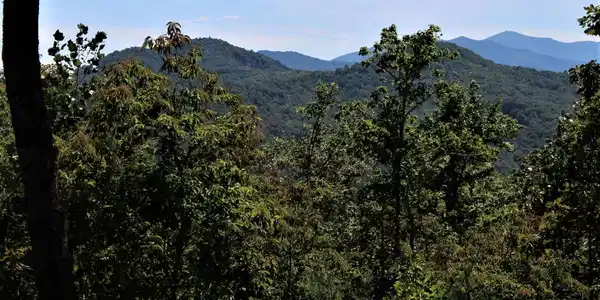 Image 3: Additional View
