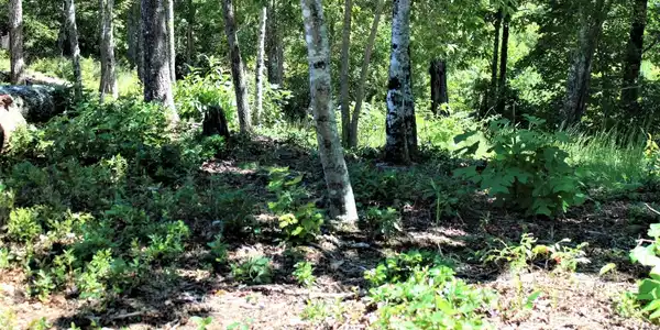 Image 4: Additional View