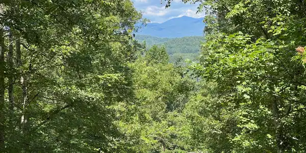 Lot 17A Trillium Heights
