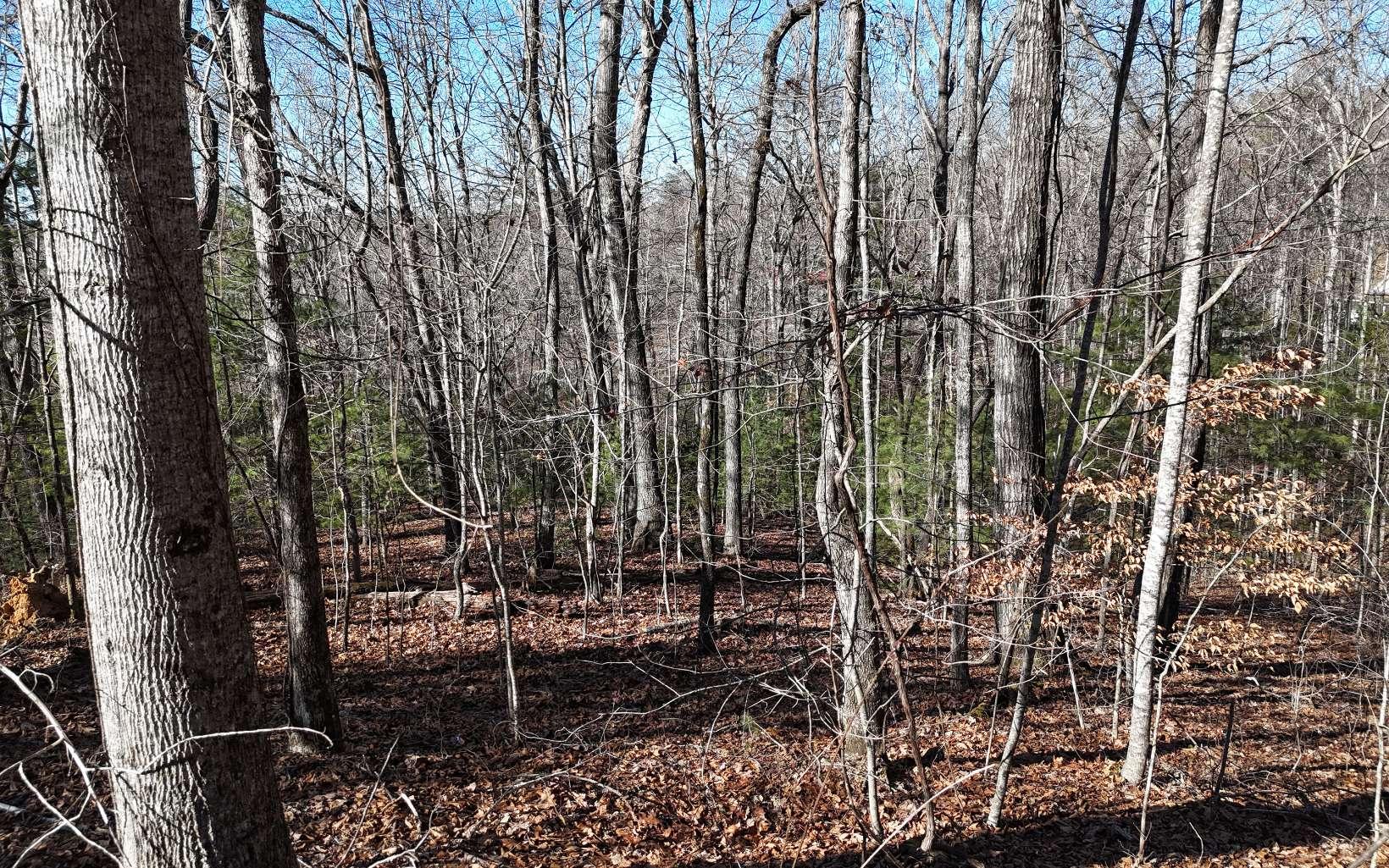 Image 4: Additional View